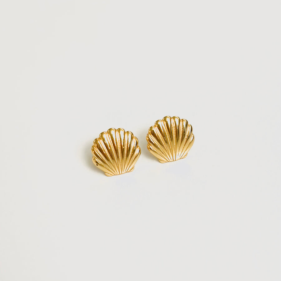 Shell Earrings