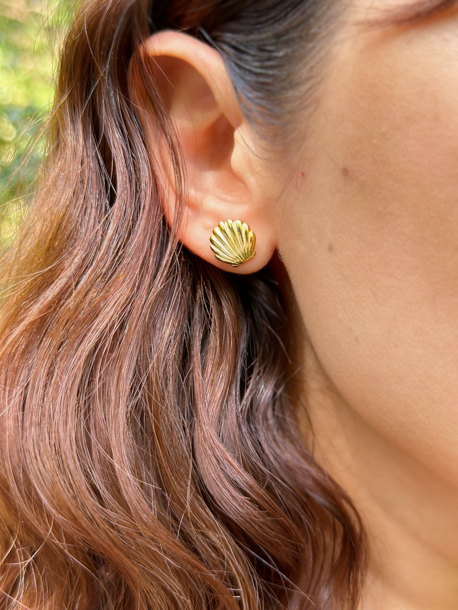 Shell Earrings