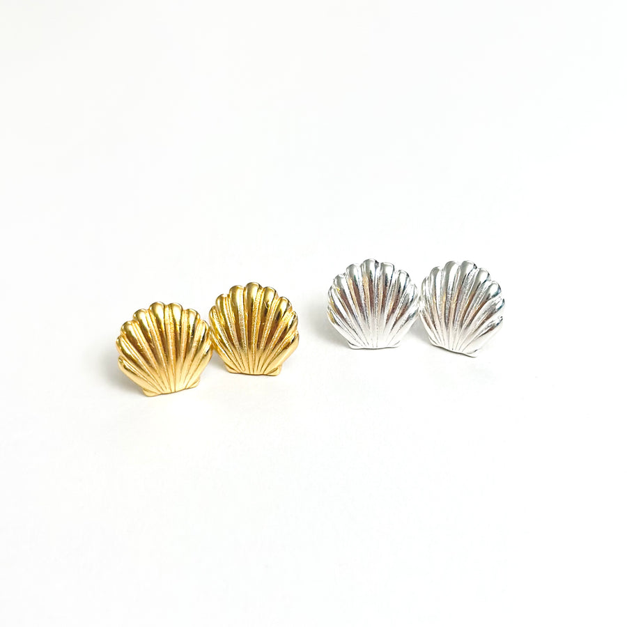 Shell Earrings