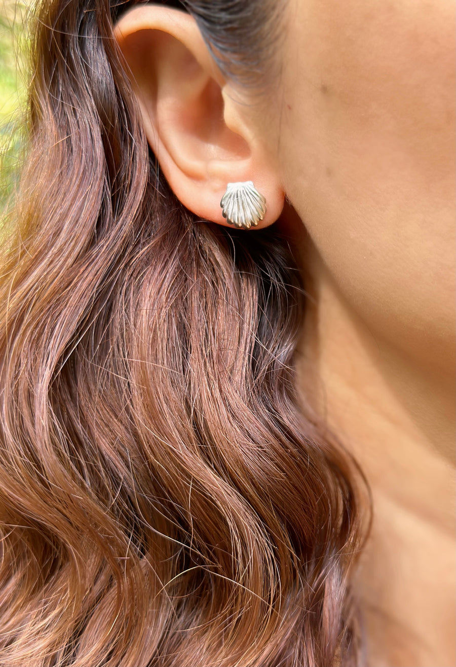 Shell Earrings